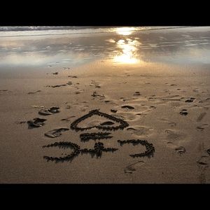 Meet your Posher, Cheyenne